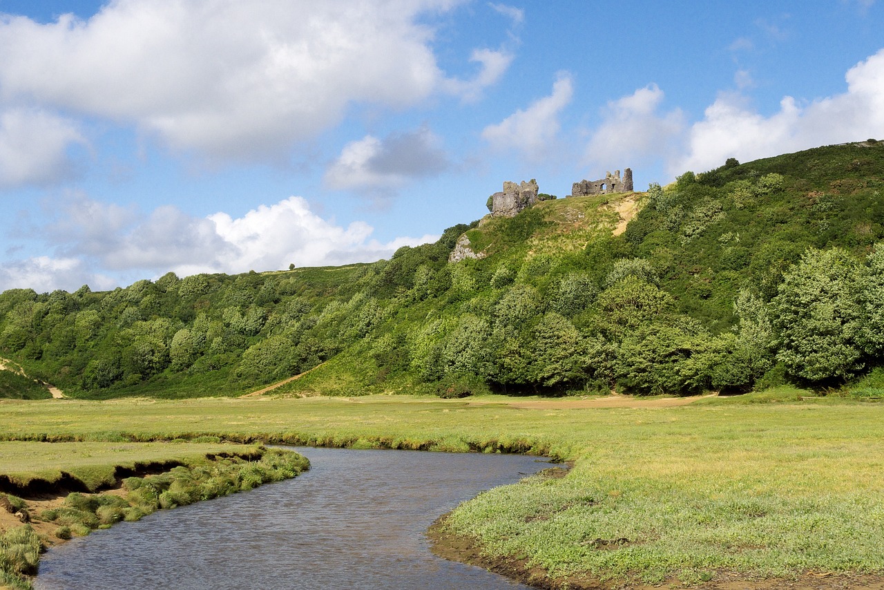 Discovering Swansea's Natural and Culinary Delights